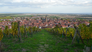 Remorquage voiture Lingolsheim